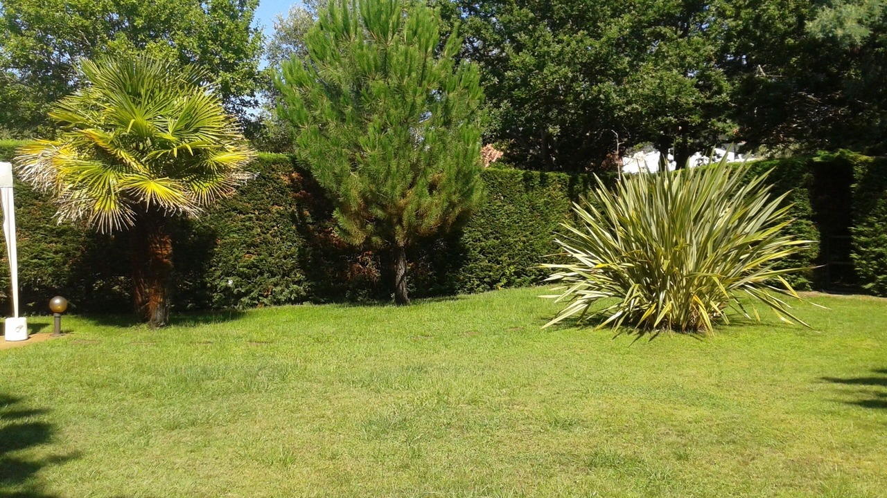 Photo of Outdoor in Biscarrosse