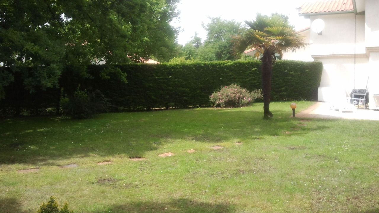 Photo of Outdoor in Biscarrosse