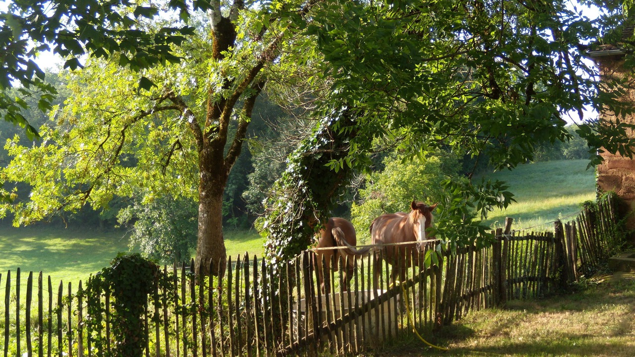 Photo of Outdoor in Badefols-d'Ans