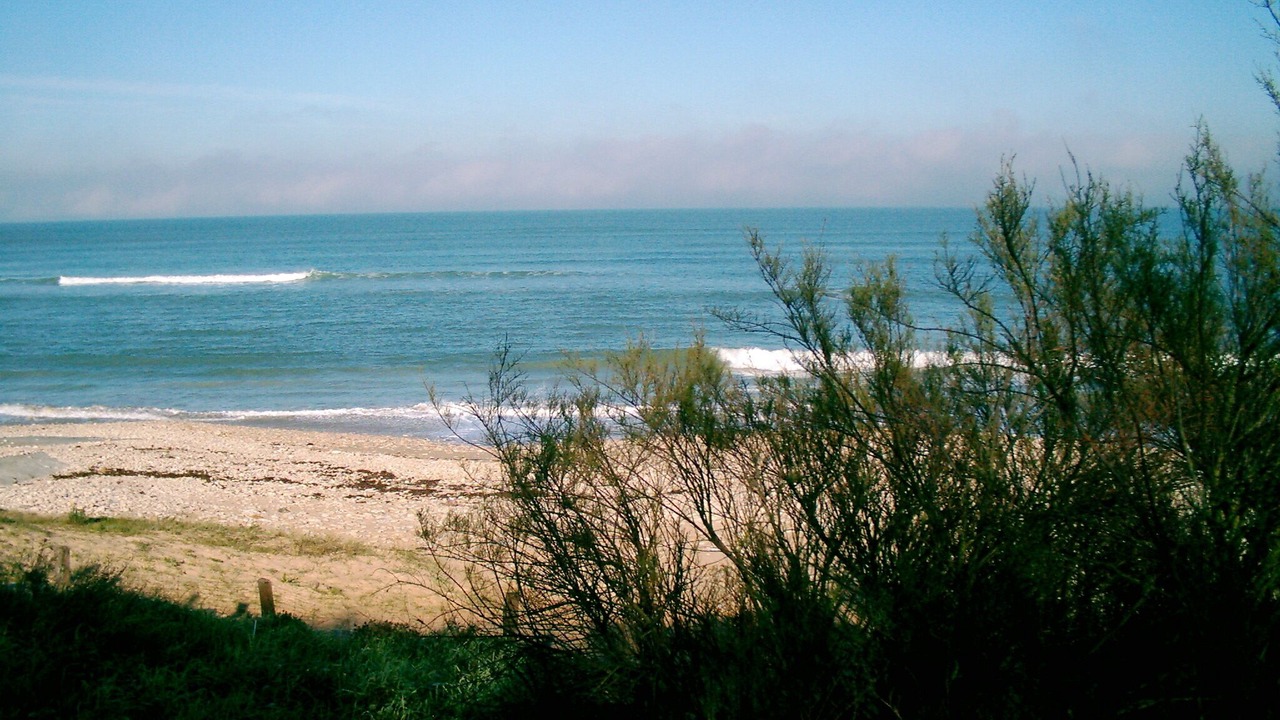 Photo of Others in Saint-Clement-des-Baleines