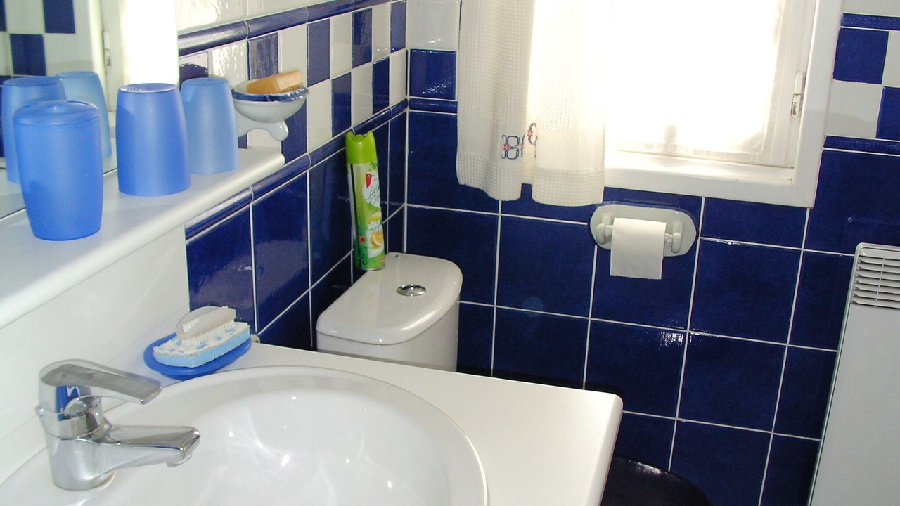 Photo of Bathroom in Saint-Clement-des-Baleines