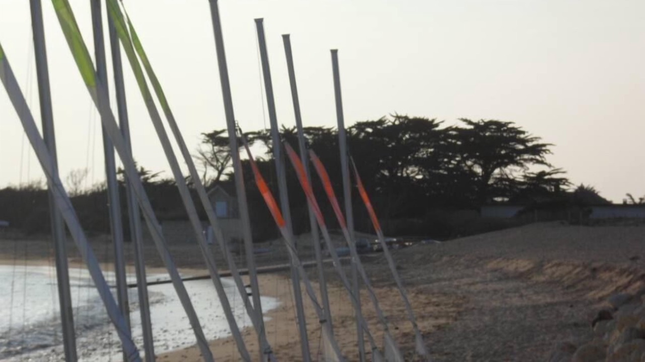 Photo of Others in Saint-Pierre-d'Oleron