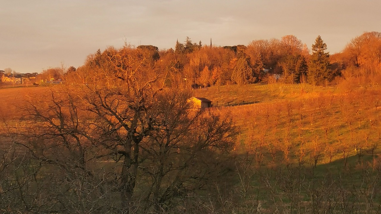 Photo of Outdoor in Aubiac