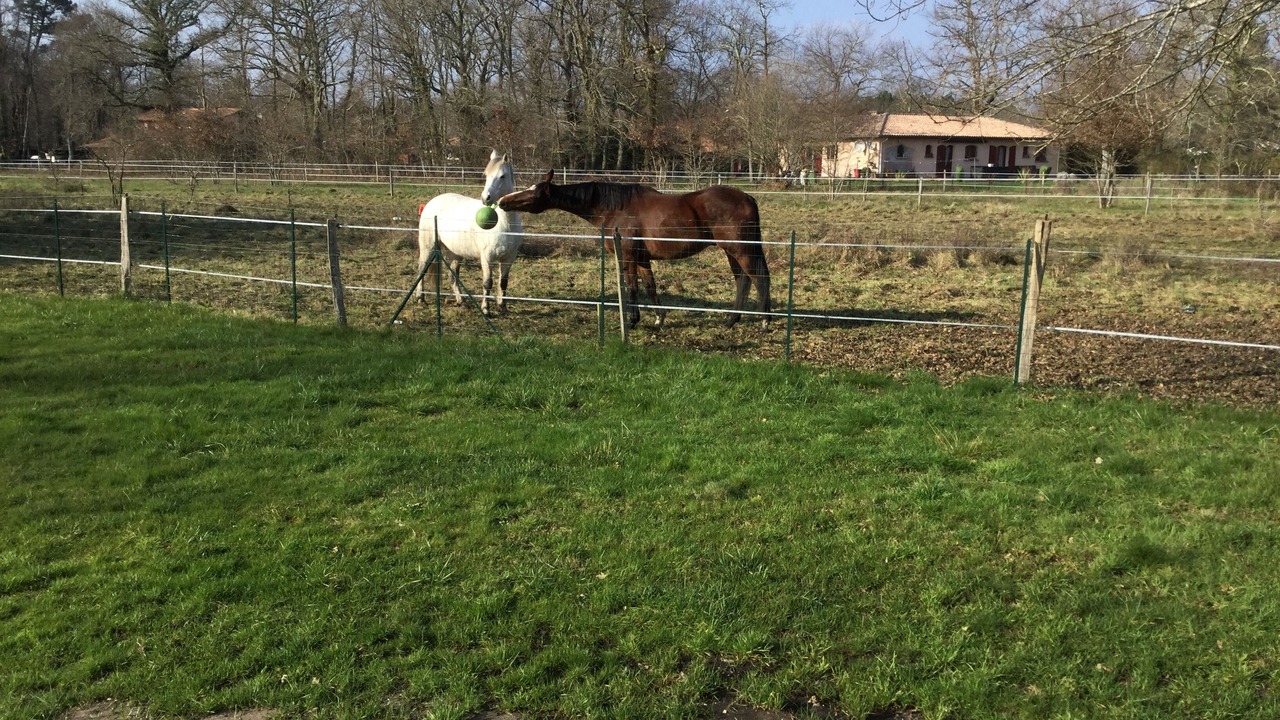 Photo of Outdoor in Audenge