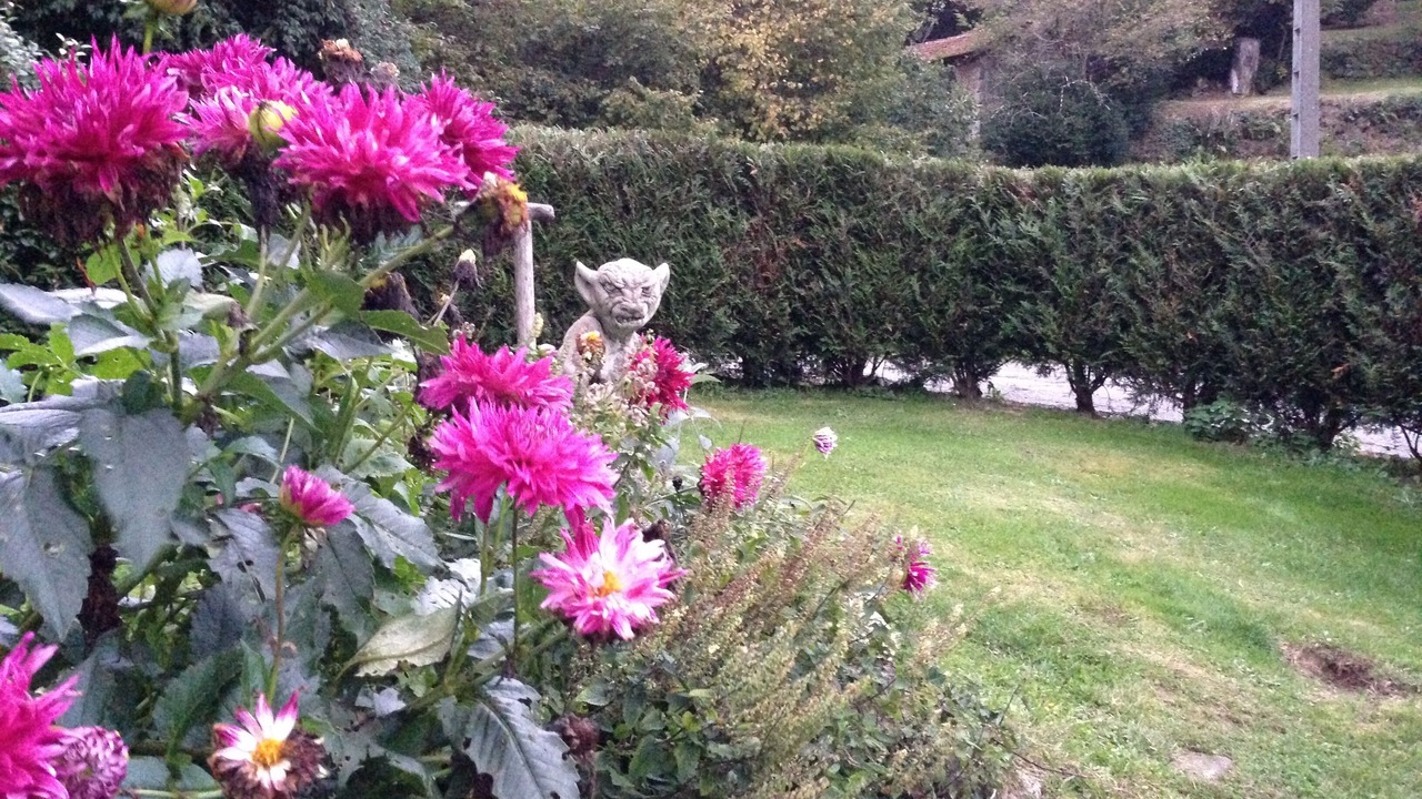 Photo of Outdoor in Saint-Sylvestre