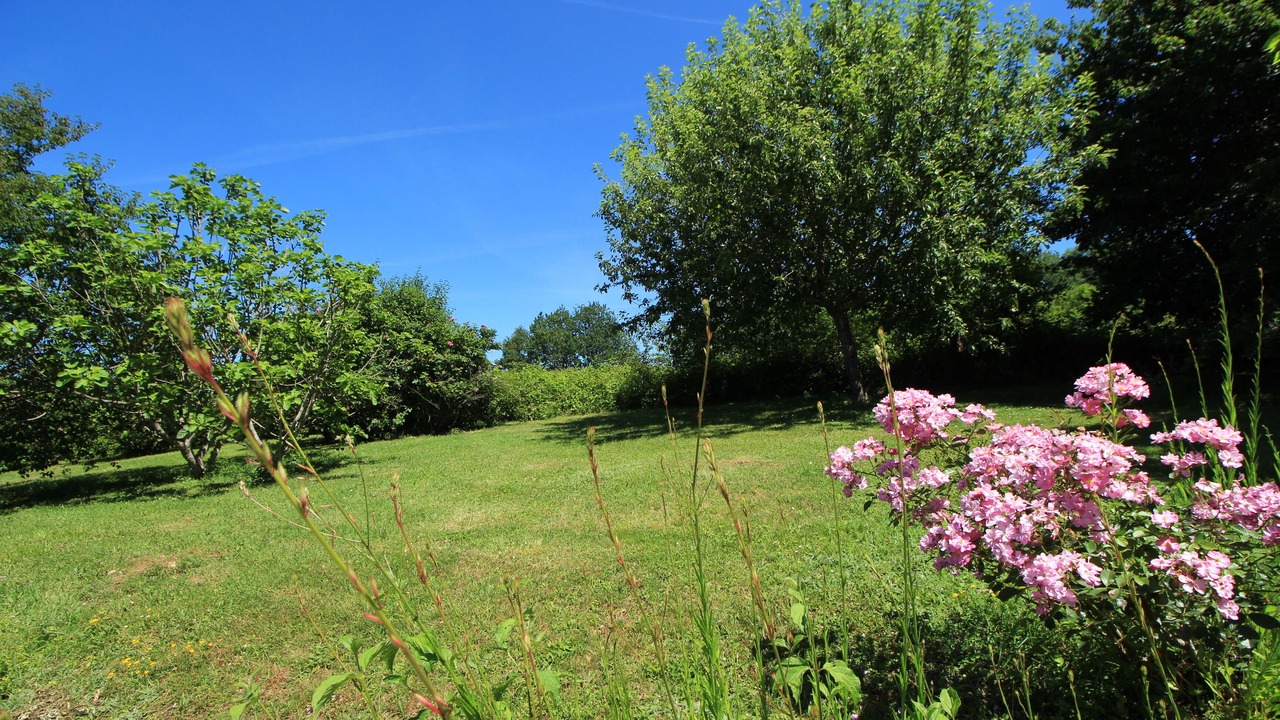 Photo of Outdoor in Urval