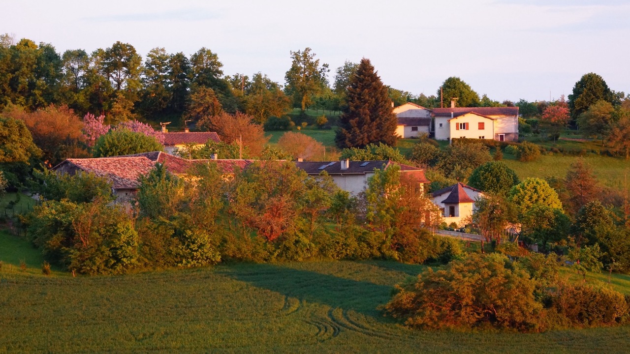 Photo of Others in Saint-Paul-Lizonne