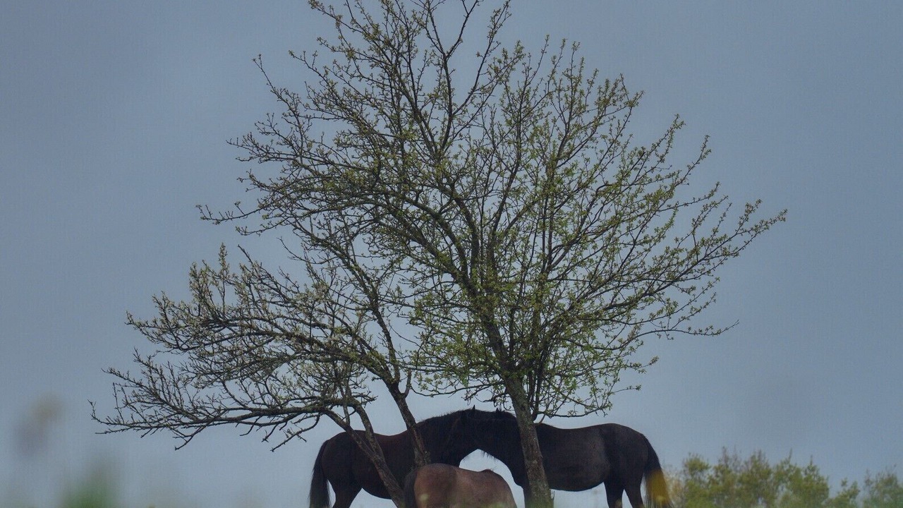 Photo of Others in Mareuil en Perigord