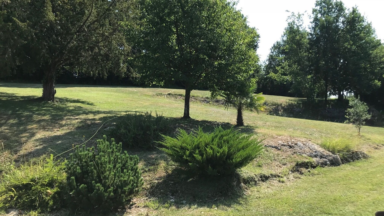 Photo of Outdoor in Saint-Aulaye-Puymangou