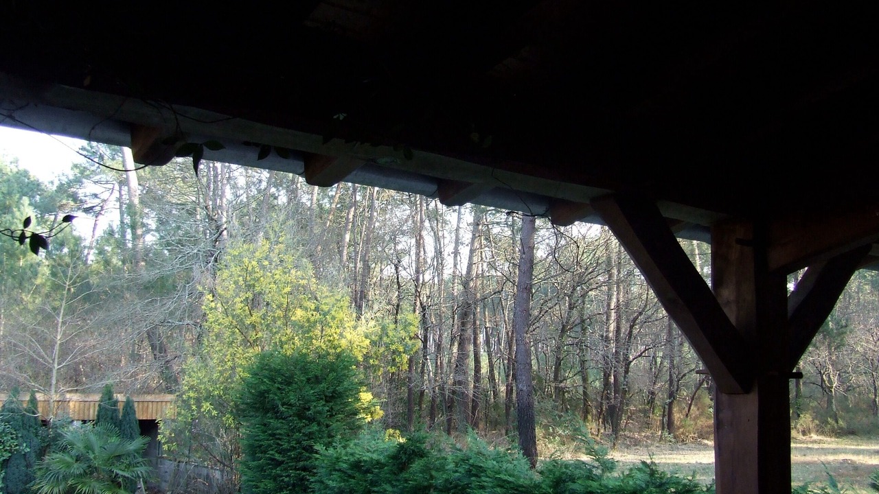 Photo of Outdoor in Le Teich