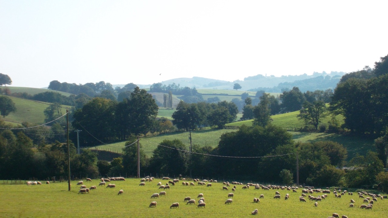 Photo of Outdoor in Lantabat