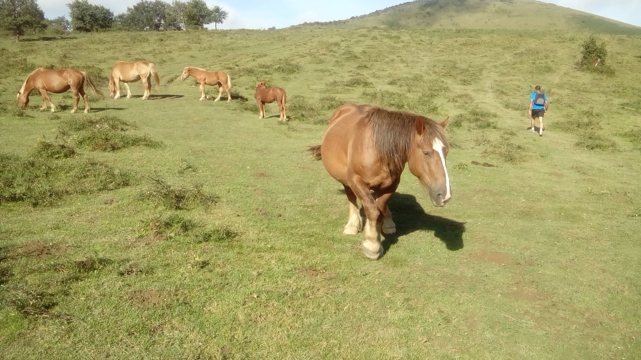 Photo of Outdoor in Lantabat