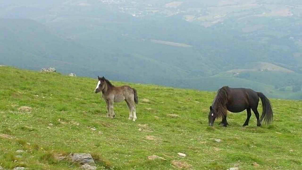 Photo of Outdoor in Lantabat