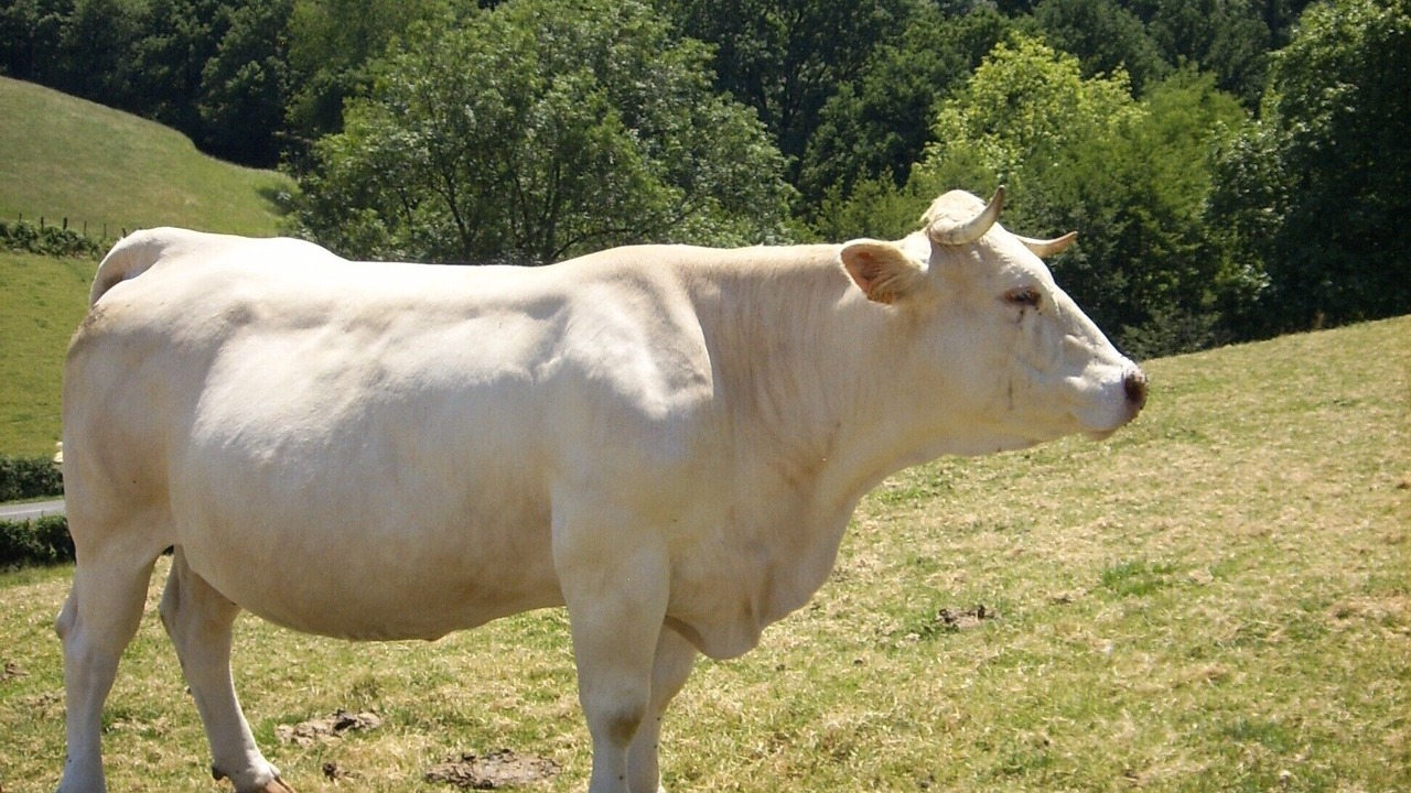 Photo of Outdoor in Lantabat