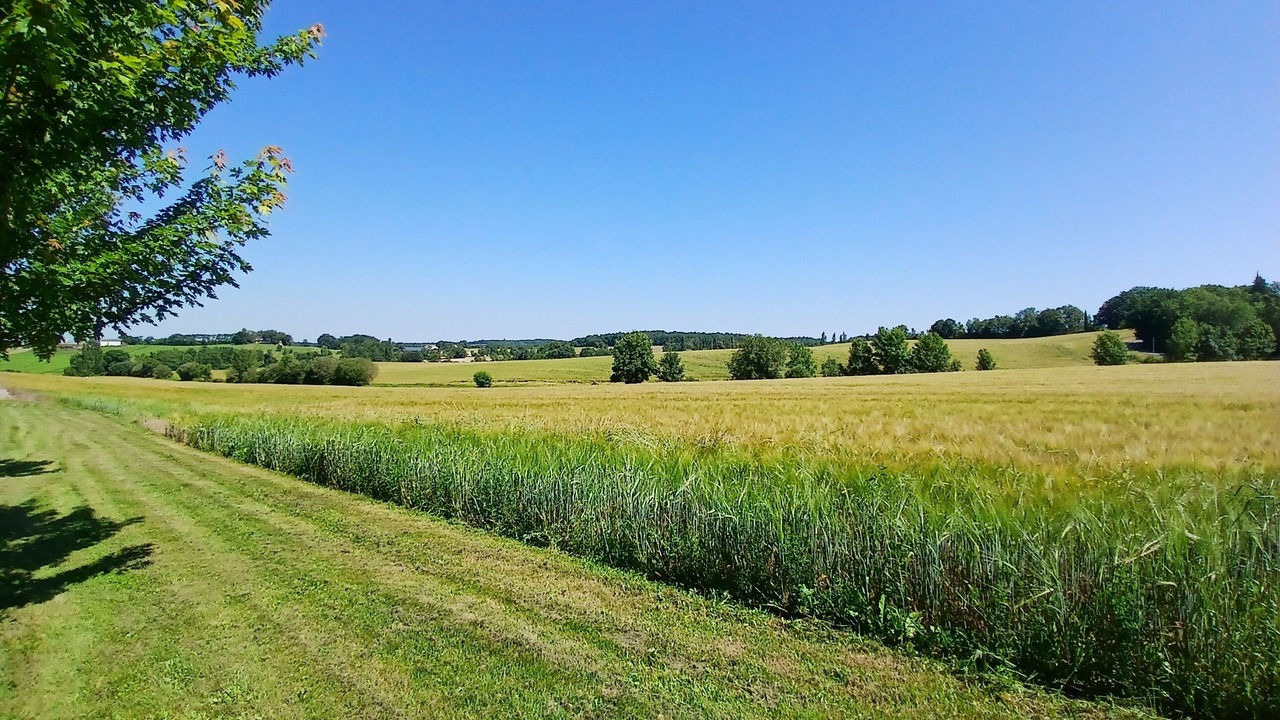 Photo of Outdoor in Sainte-Sabine-Born