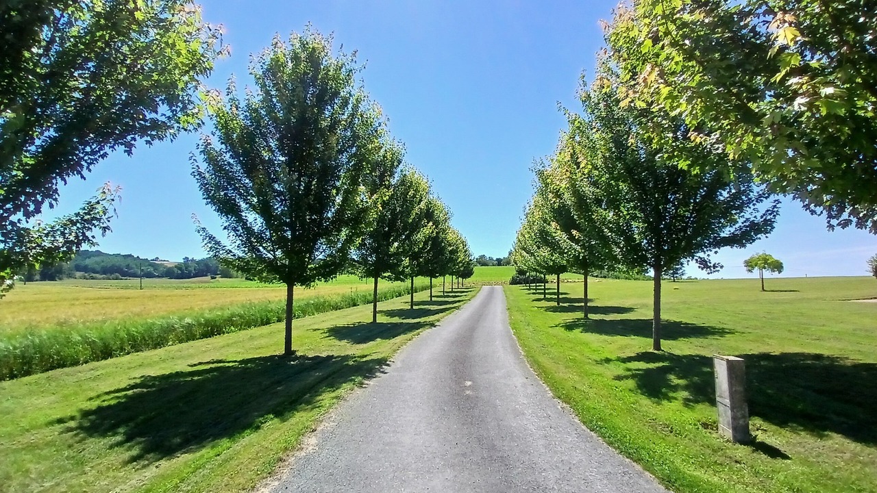 Photo of Outdoor in Sainte-Sabine-Born