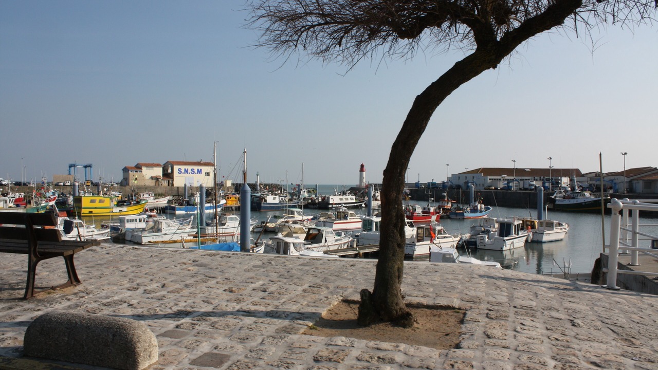 Photo of Others in La Cotiniere