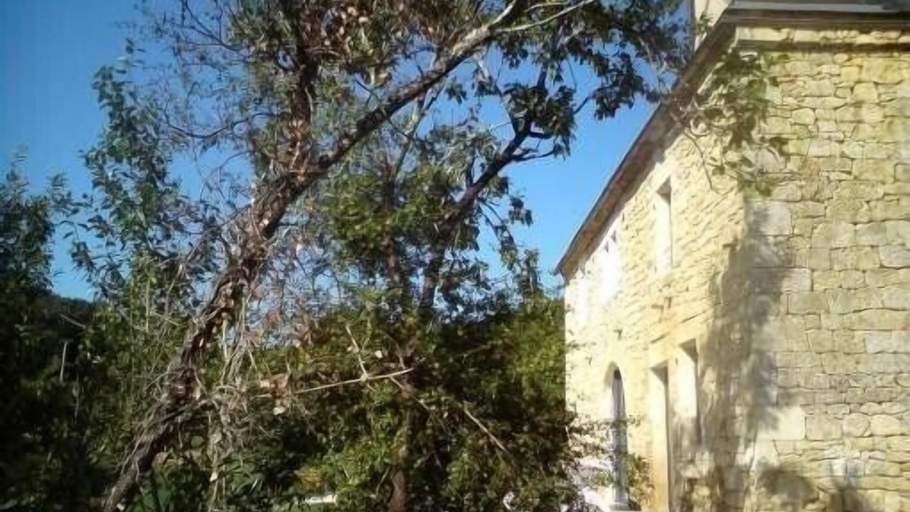 Photo of Outdoor in Salignac-Eyvignes
