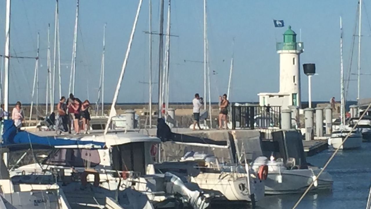 Photo of Others in La Flotte