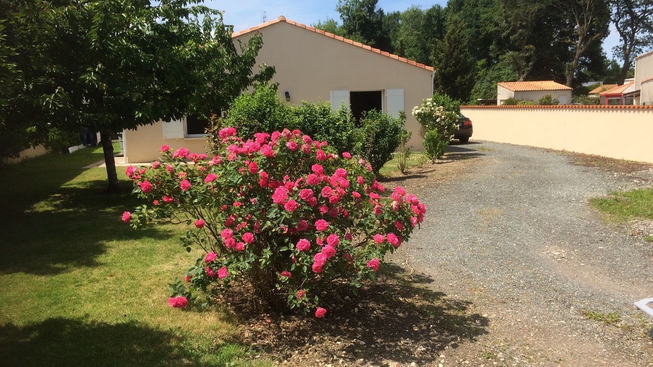 Photo of Outdoor in Breuillet