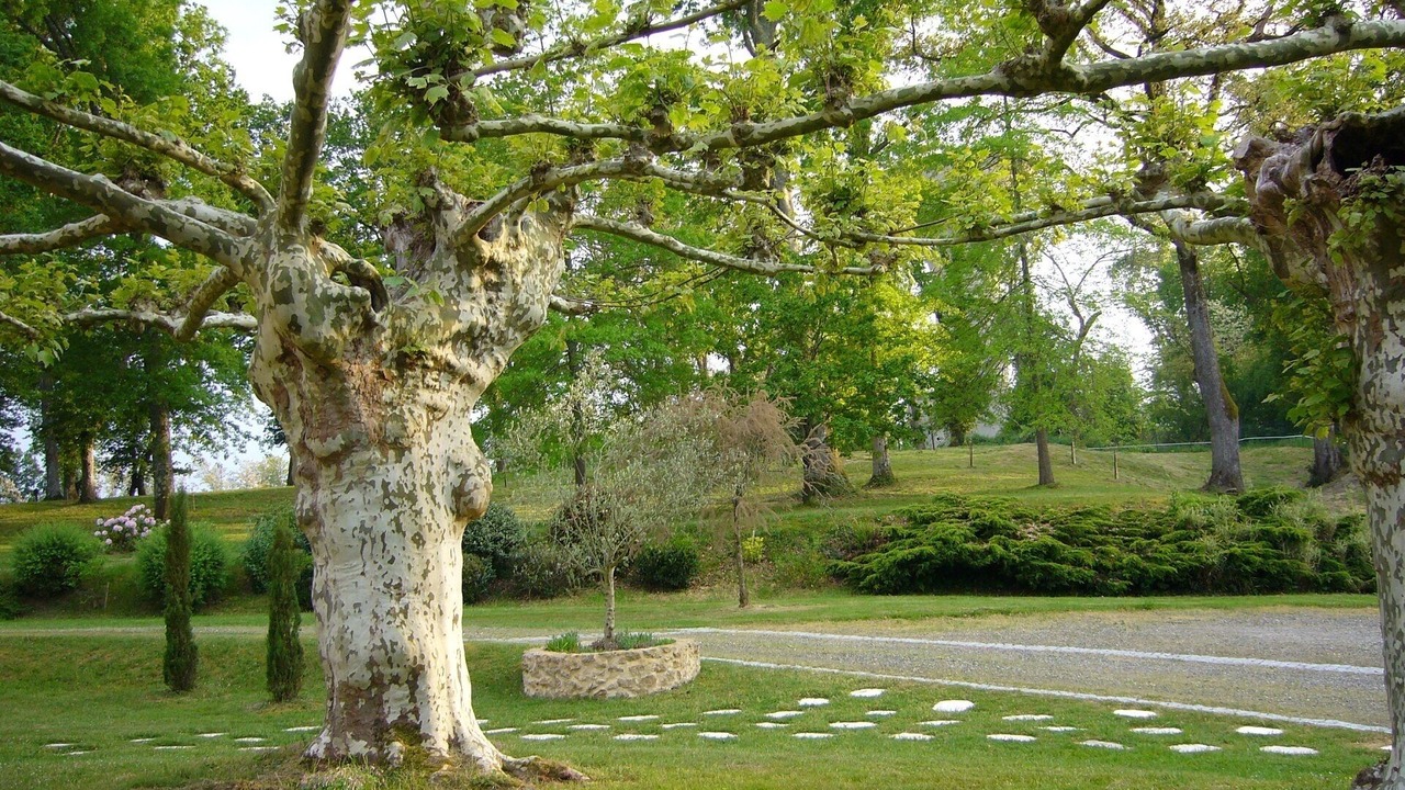 Photo of Outdoor in Saint-Pierre-du-Mont