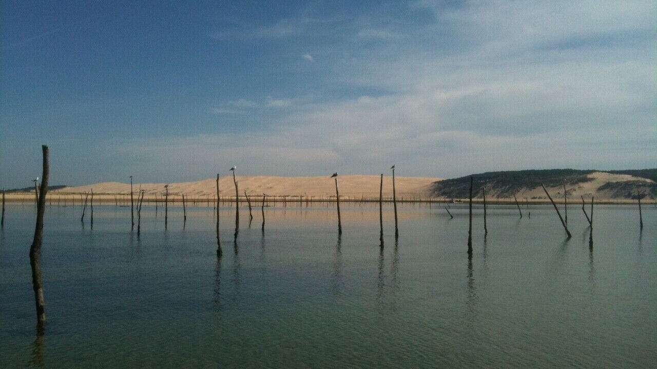 Photo of Others in Piraillan
