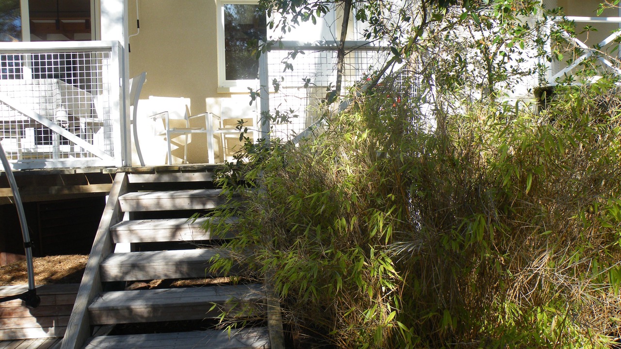 Photo of Outdoor in Lacanau-Ocean