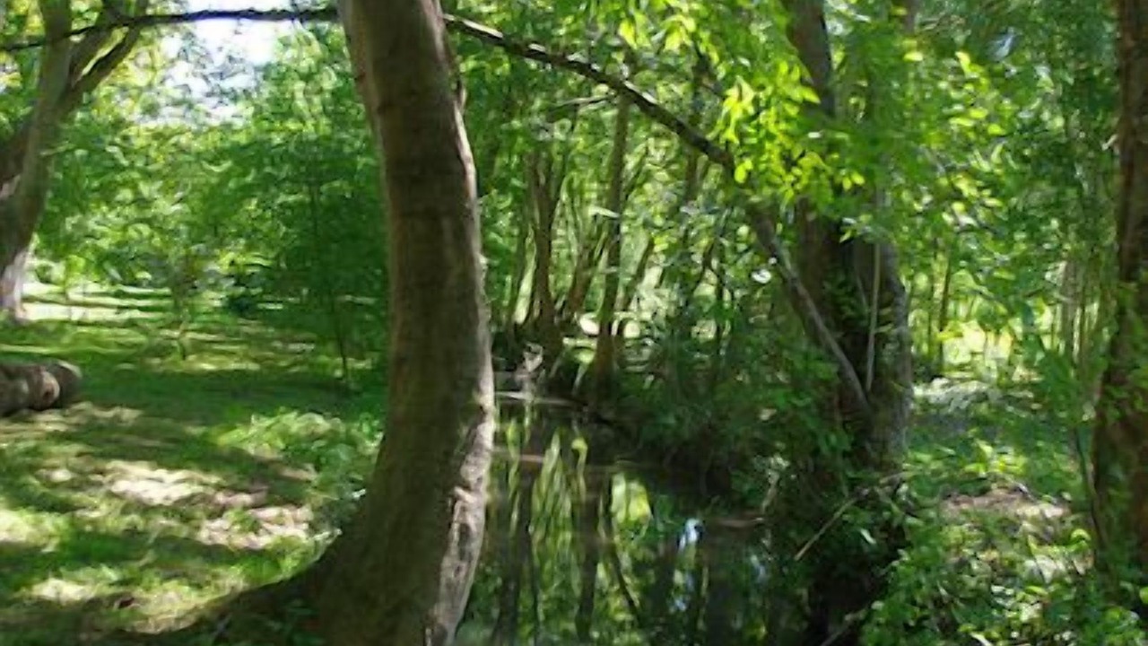 Photo of Outdoor in Fontenille-Saint-Martin-d'Entraigues