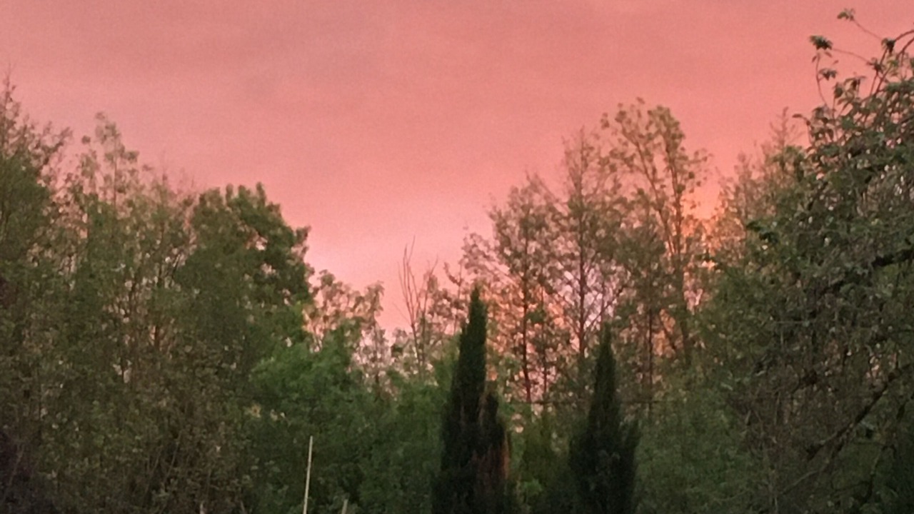 Photo of Outdoor in Fontenille-Saint-Martin-d'Entraigues