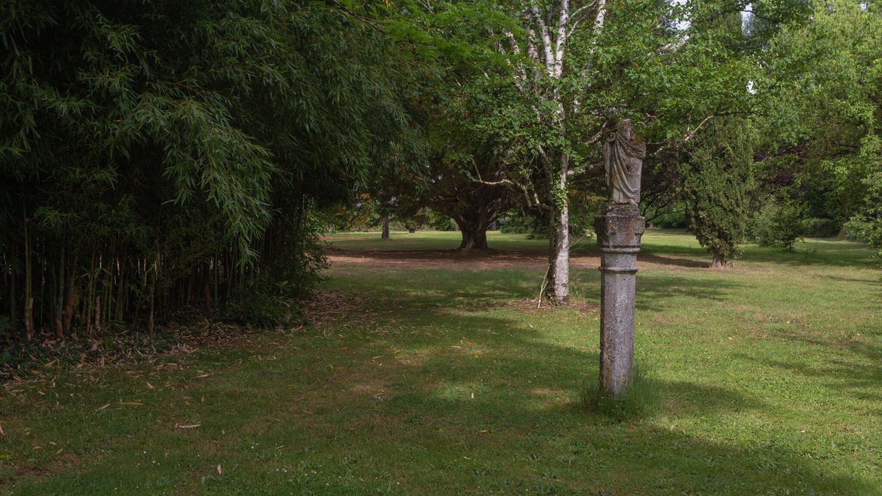 Photo of Outdoor in Thurageau