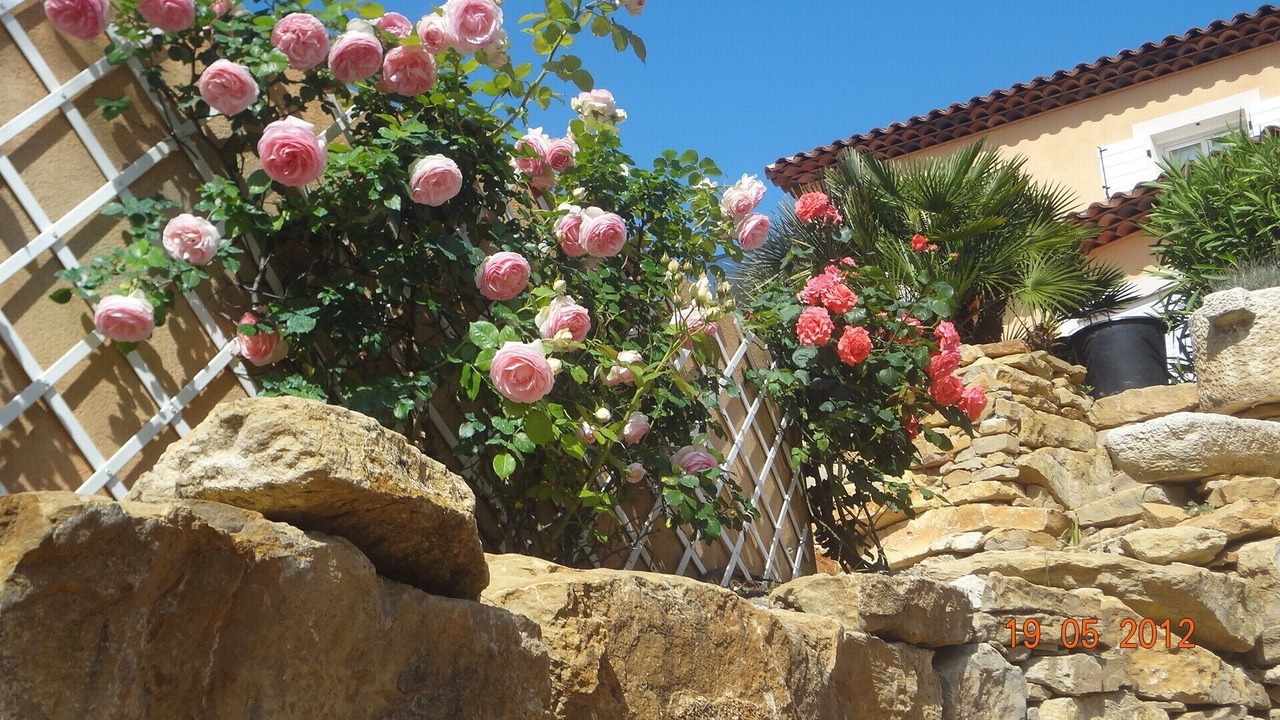 Photo of Outdoor in La Cadiere-d'Azur