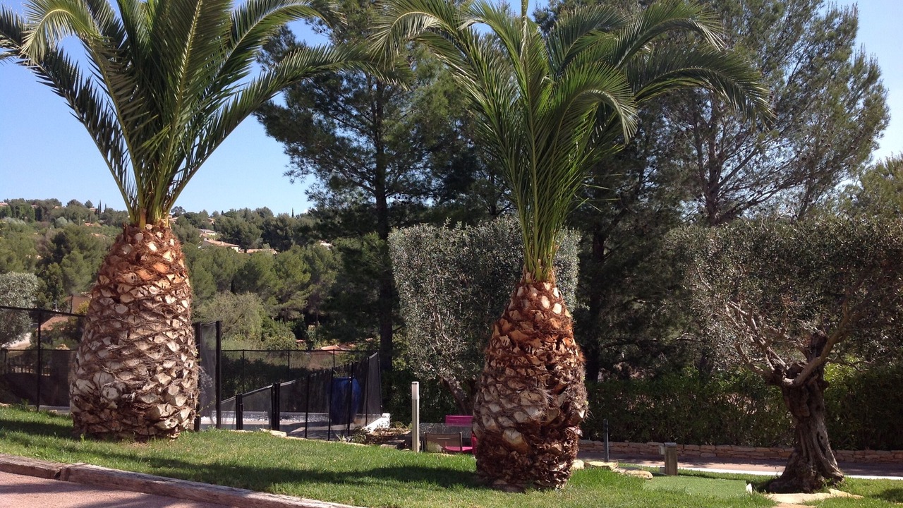 Photo of Outdoor in La Cadiere-d'Azur