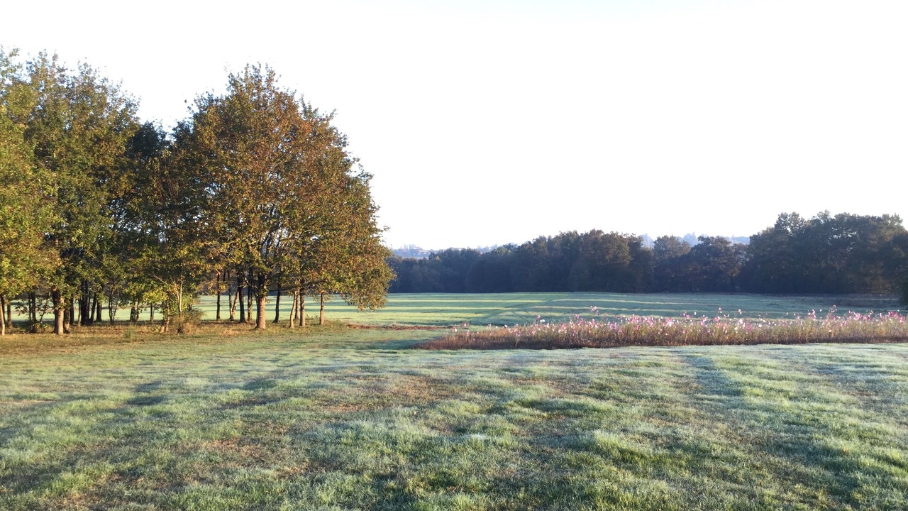 Photo of Others in Saint-Meard-de-Gurcon
