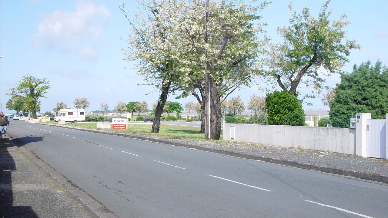 Photo of Others in Port-des-Barques