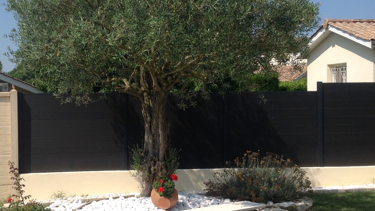 Photo of Outdoor in Tresses