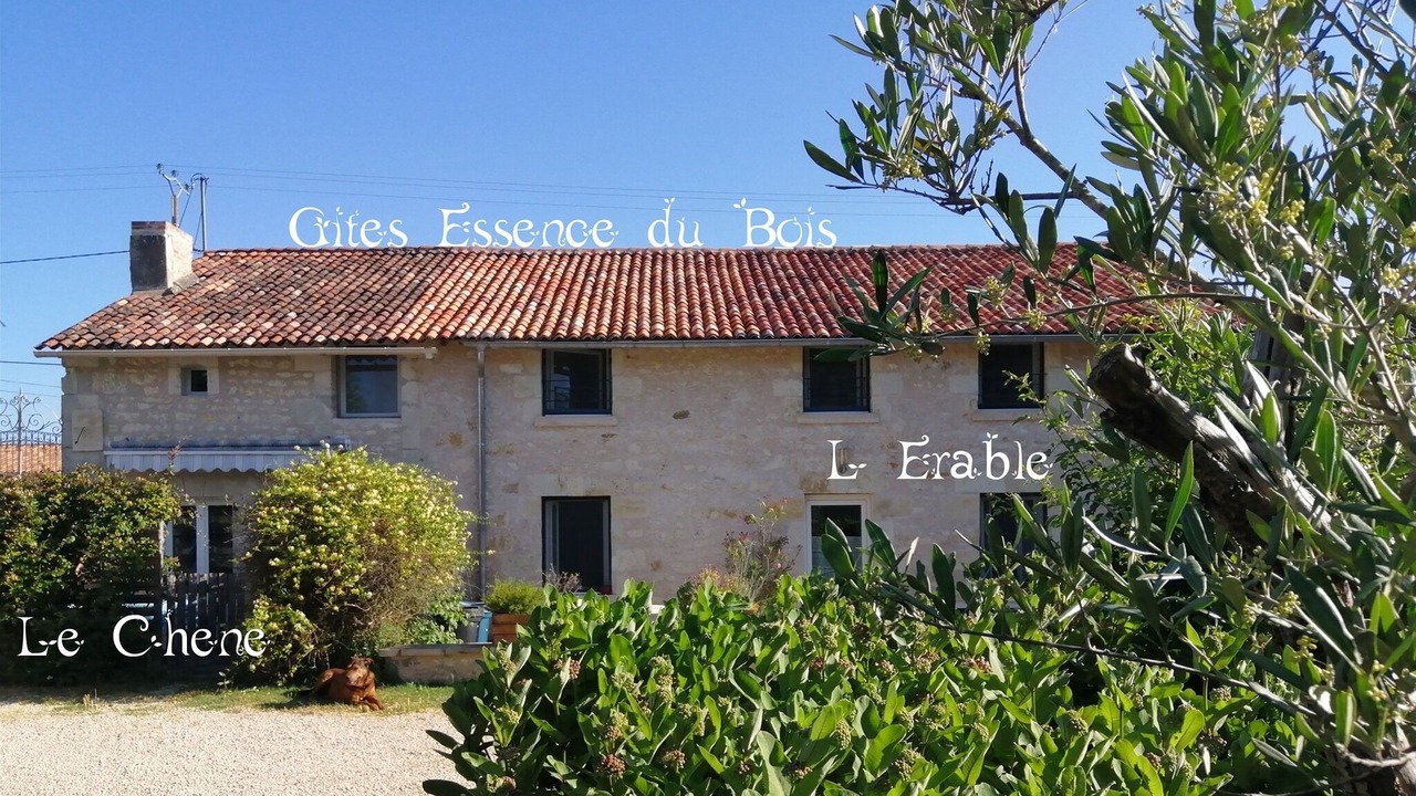 Photo of Outdoor in Vendeuvre-du-Poitou