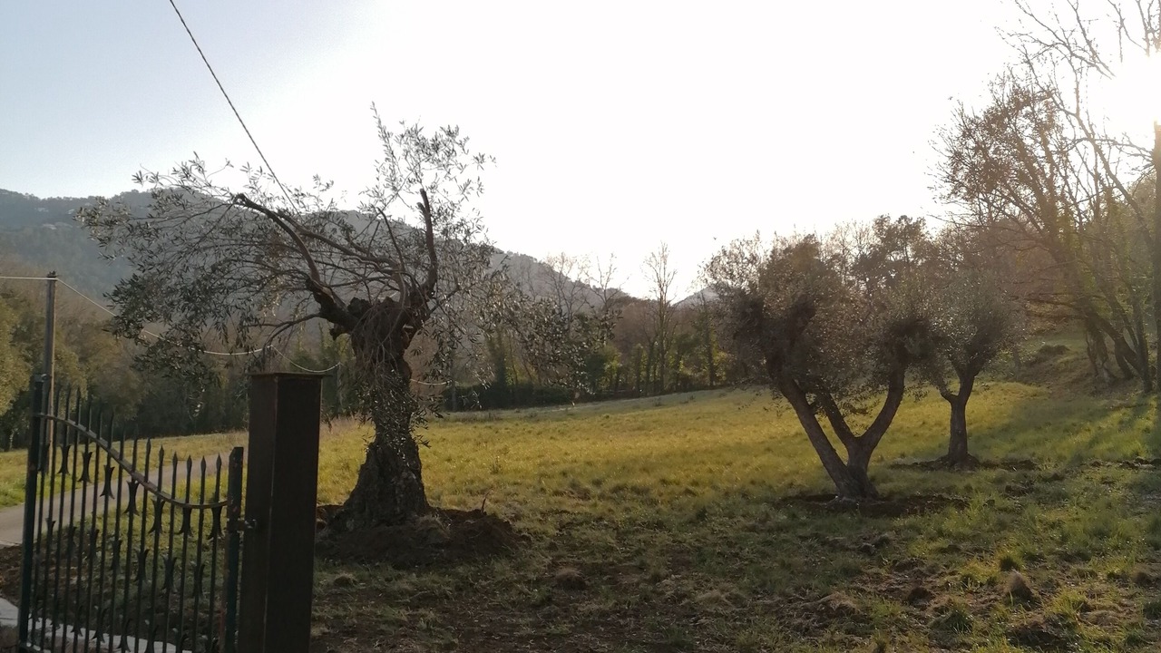 Photo of Outdoor in Les Adrets-de-l'Esterel