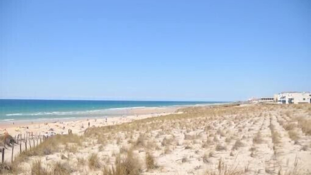 Photo of Others in Lacanau-Ocean