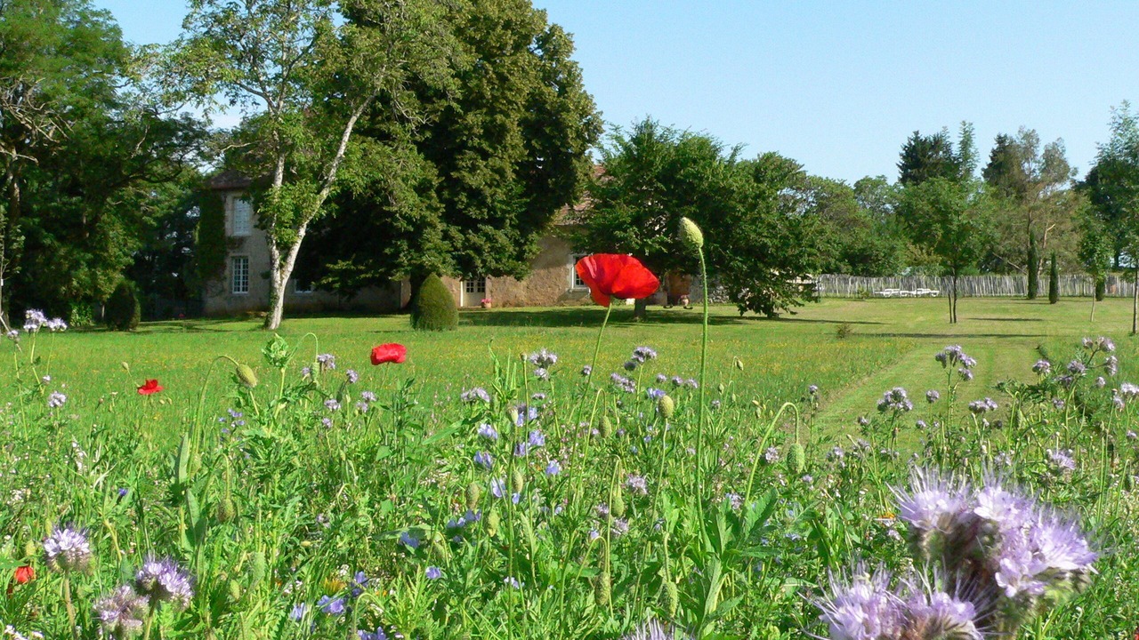 Photo of Outdoor in Liorac-sur-Louyre