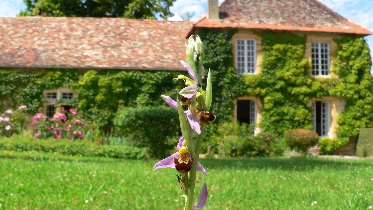 Photo of Outdoor in Liorac-sur-Louyre