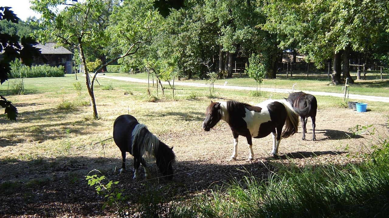 Photo of Others in Tourliac