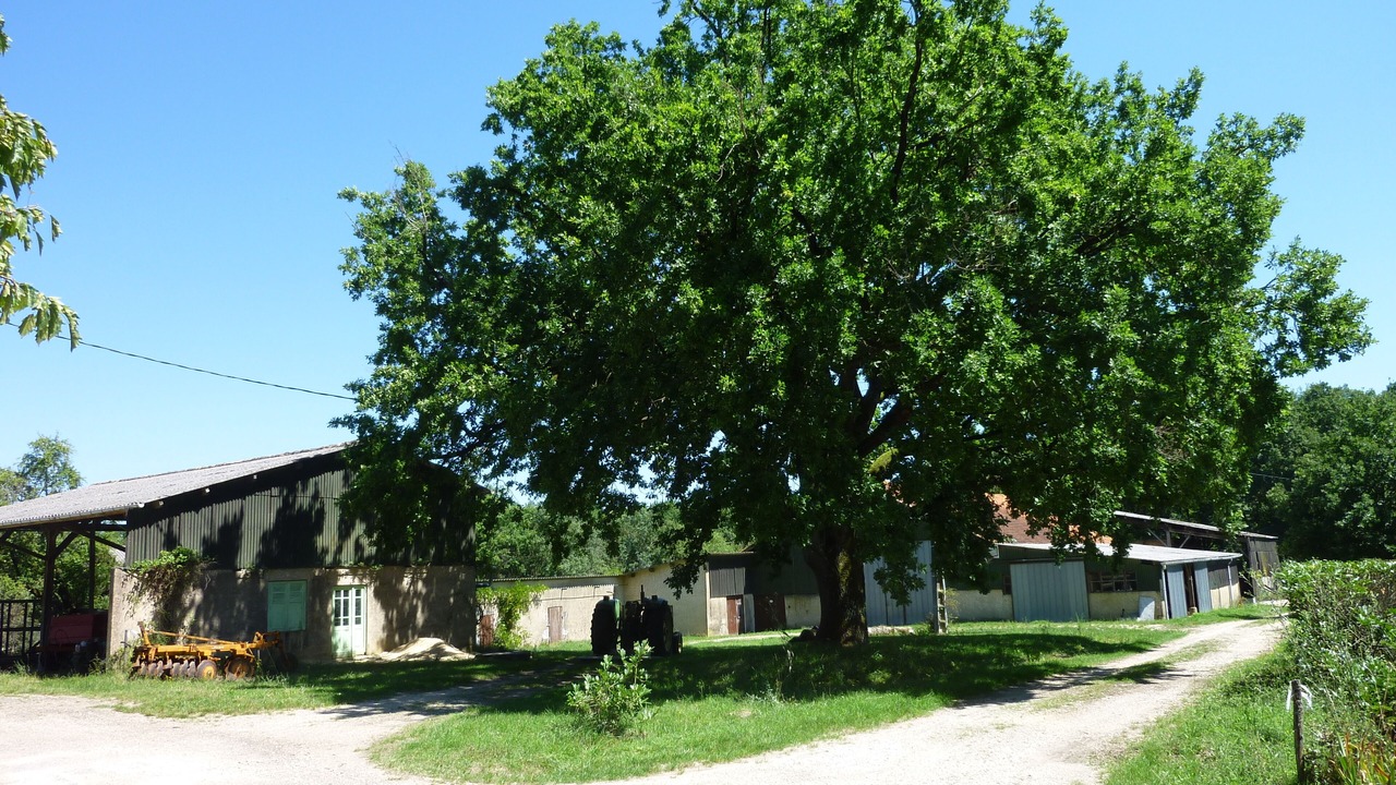Photo of Outdoor in Tourliac