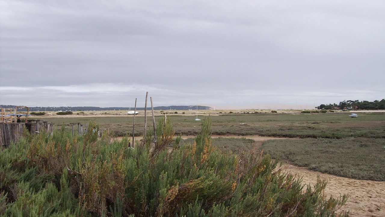 Photo of Outdoor in Cap-Ferret