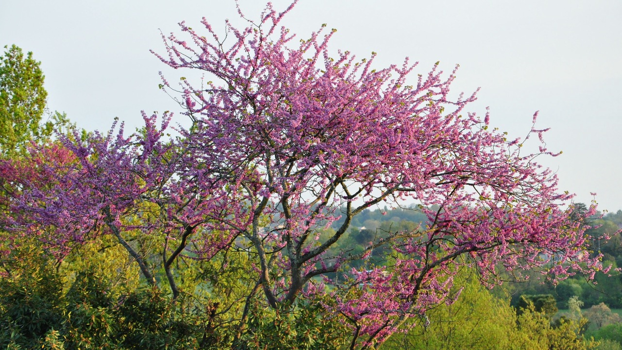 Photo of Outdoor in Camblanes-et-Meynac