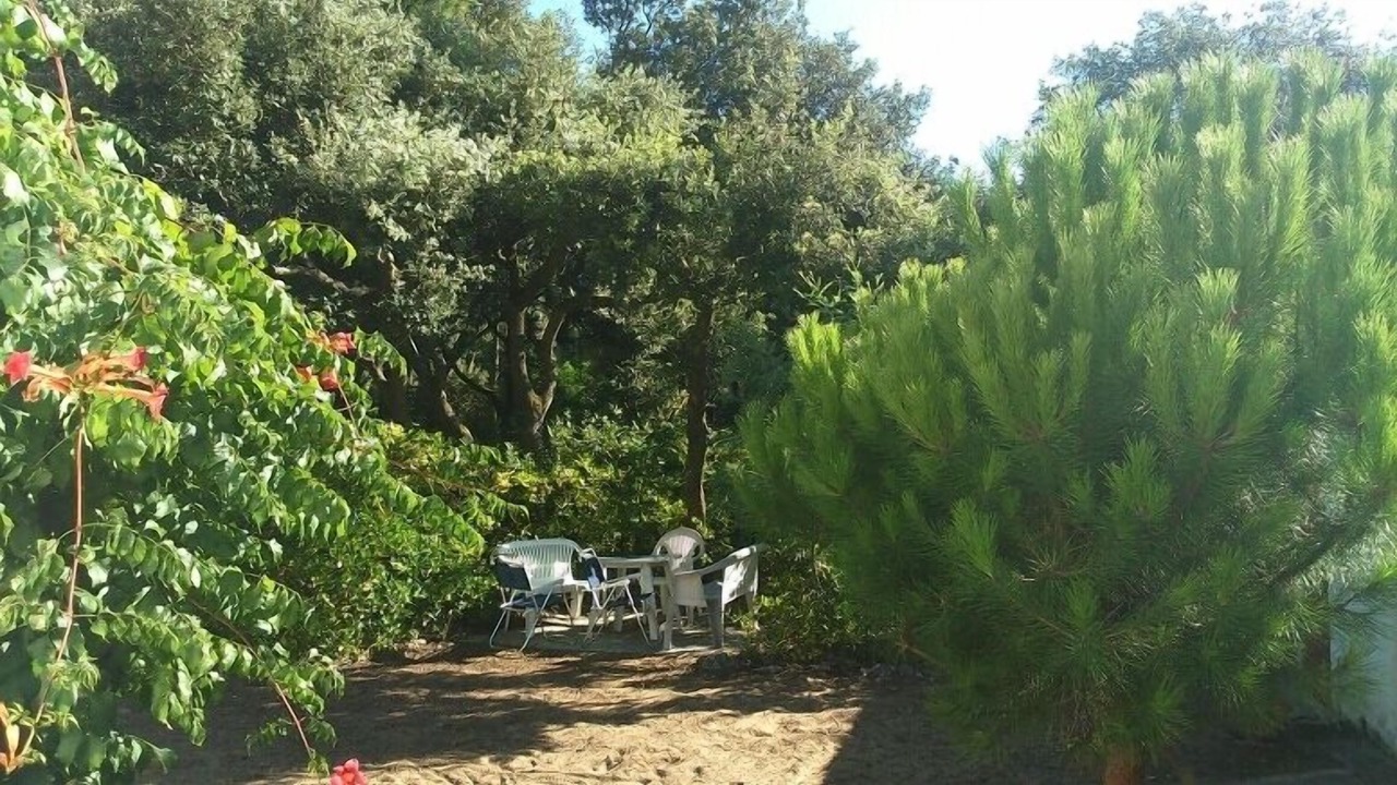 Photo of Outdoor in Domino