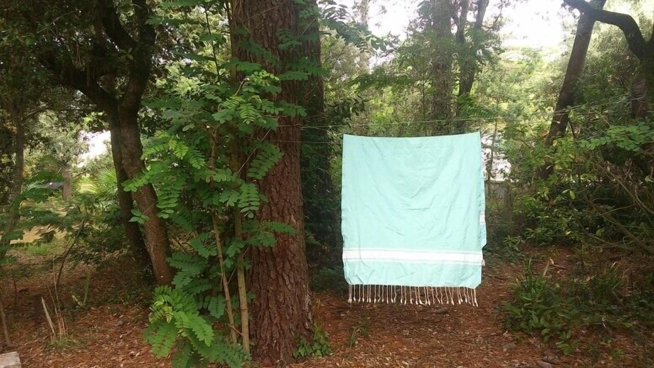 Photo of Outdoor in Domino