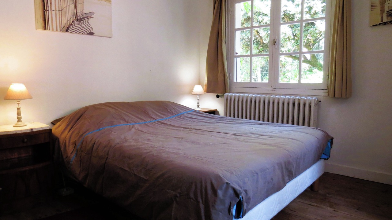 Photo of Bedroom in Domino