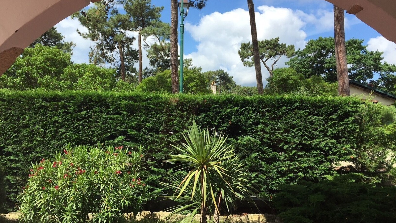 Photo of Outdoor in Arcachon