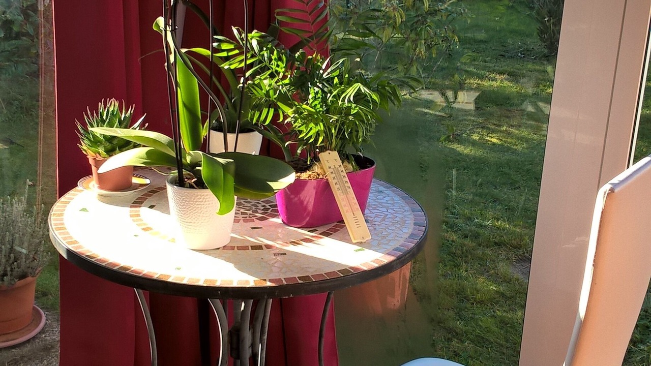 Photo of Outdoor in La Teste-de-Buch