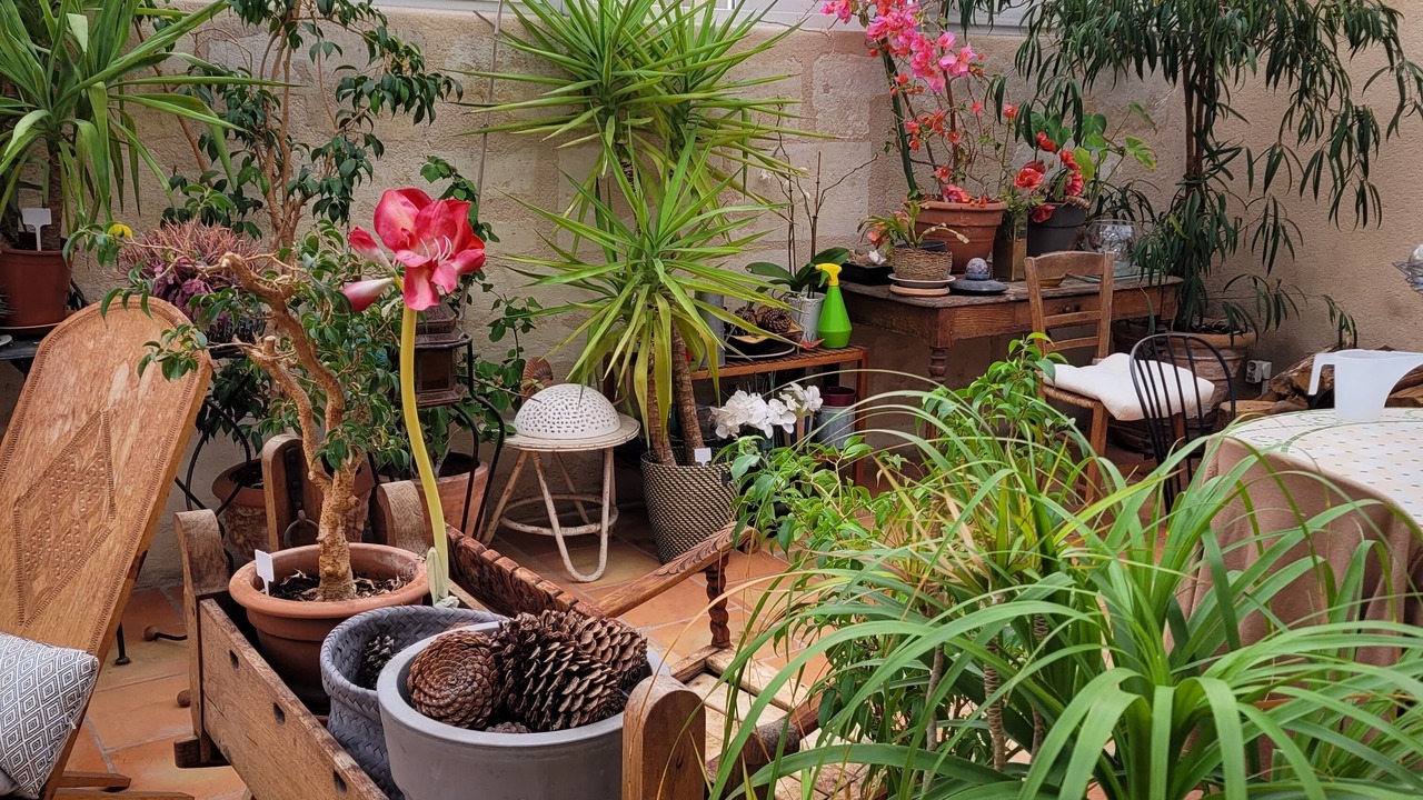 Photo of Patio Balcony in Saint-Bruno - Saint-Victor